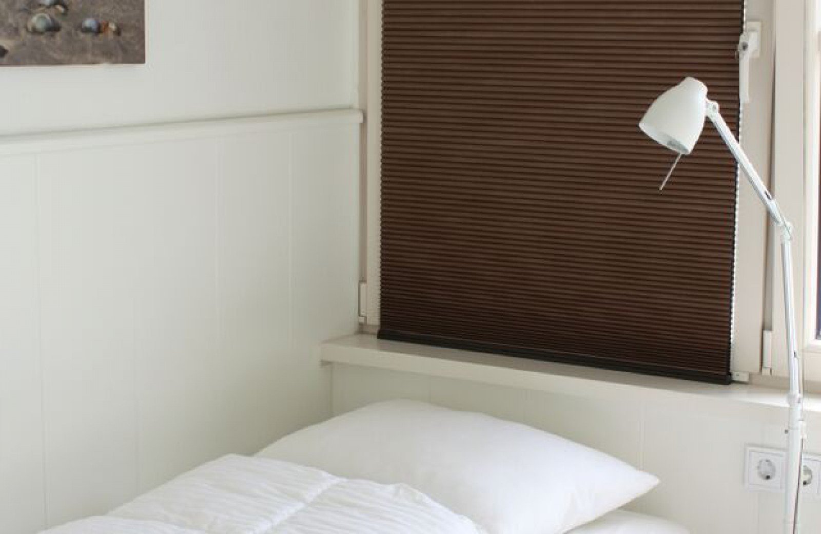 Parel van nes 05 dream 9