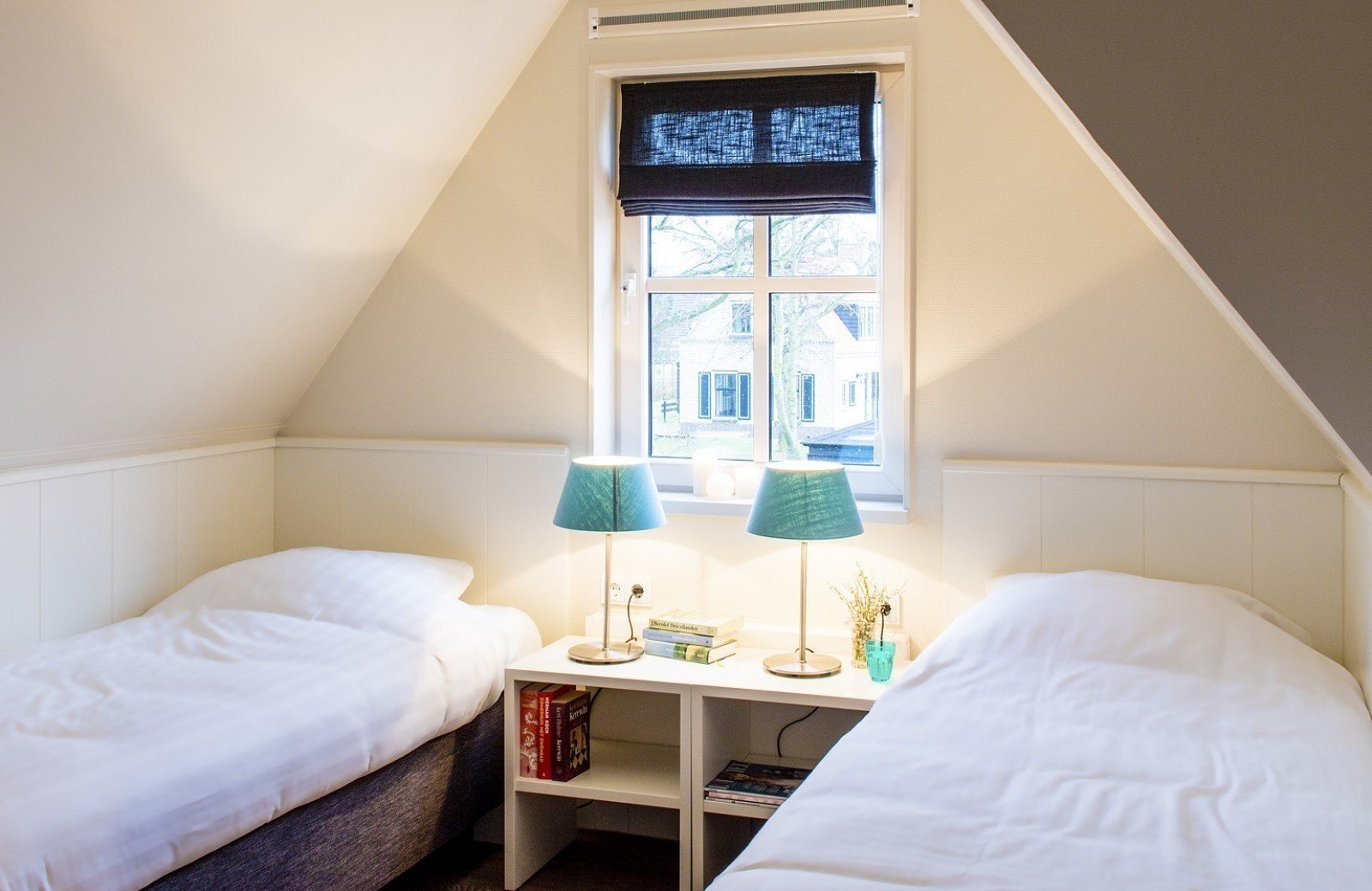 Parel van nes 06 goudhaantje 7