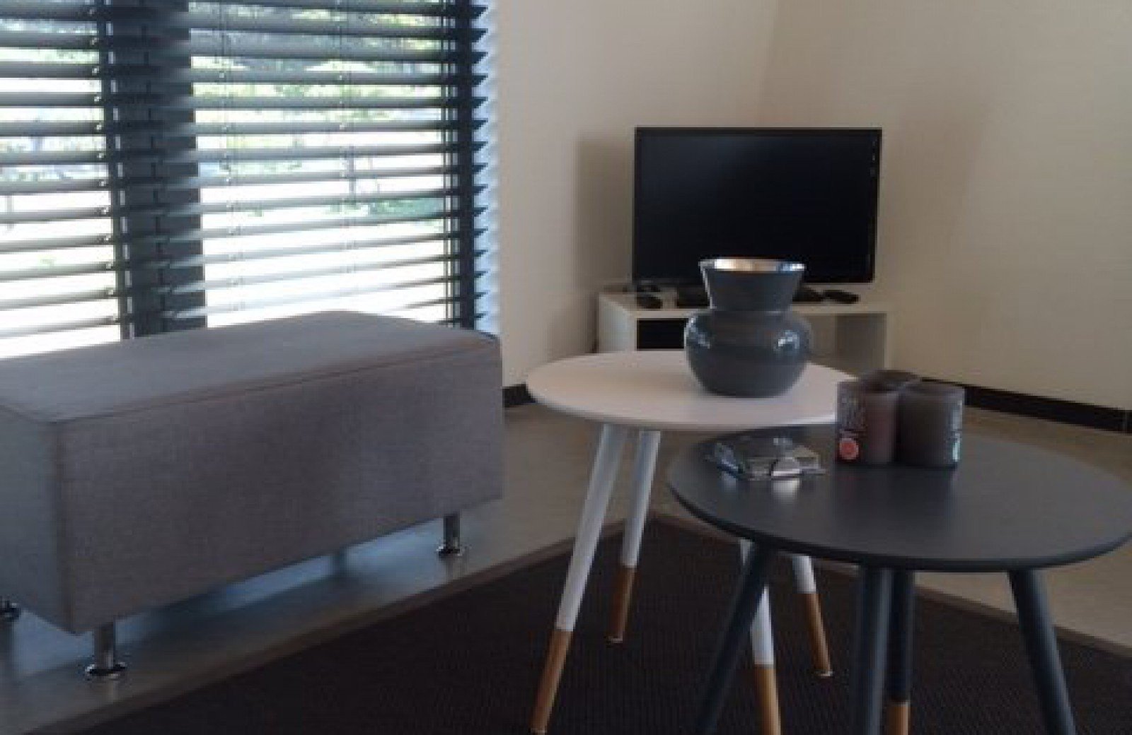 Vakantiewoning roots ameland 3